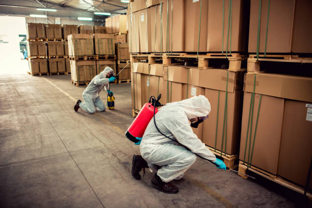 Best Cockroach Control Services  in Marshfield, MO