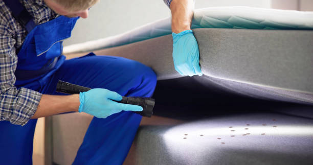Best Bed Bug Extermination  in Marshfield, MO