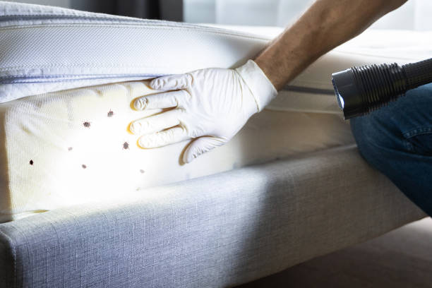 Best Residential Pest Control  in Marshfield, MO