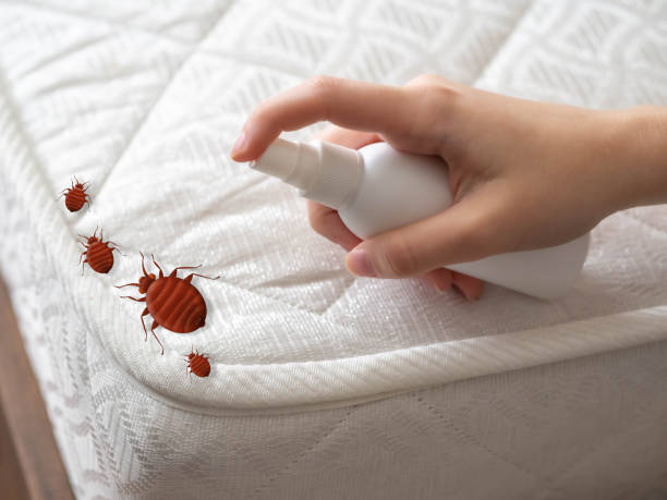  Marshfield, MO Pest Control Pros