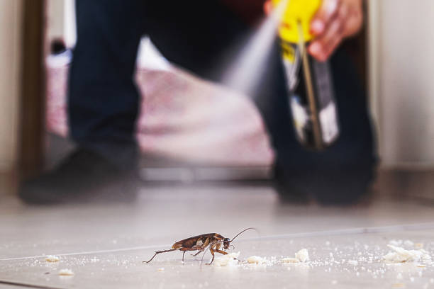Best Rodent Control Near Me  in Marshfield, MO