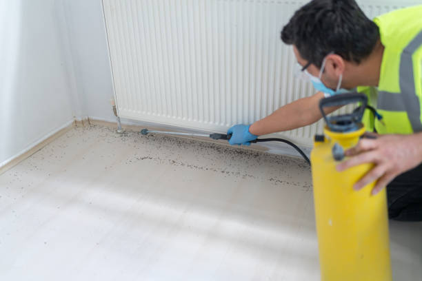 Best Exterminator Services  in Marshfield, MO